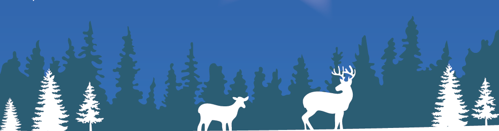 Holiday 2024 Website